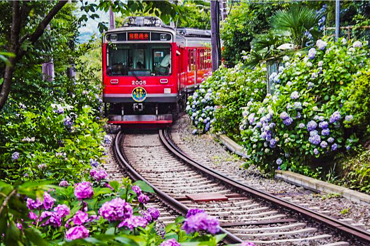 【漾旅、和遊】關東經典泡湯七日：富士山、箱根溫泉與東京魅力探險(六人成行)